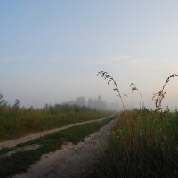 Застенчивое утро. :: Евгений 