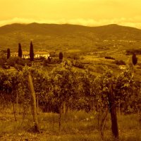 CERRETO GUIDI, INTORNI, TOSCANA, ITALIA by iramashura, 21-07-2014 :: ira mashura