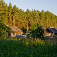 Утро в Петраково :: Яков Реймер