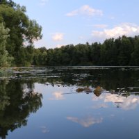 Озеро в Кузьминках :: Андрей Кузнецов