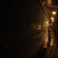 Дождь :: Tinatin (Анна) Макарова