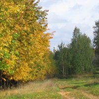 Дорога к храму :: галина 