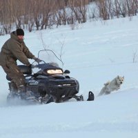 В угон :: Алексей Кваша