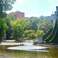 В один прекрасный солнечный день :: Ксения Базарова