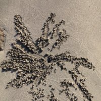 Рисунки на песке :: Марина Жужа