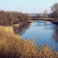 Река Тихая сосна в Белгородской области :: Жанна Шишкина