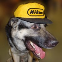 Я люблю Nikon ! ( Эта фотография была добавлена компанией Nikon в свой фотоальбом . ) :: Игорь Абрамов