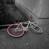 bicycle :: Pavel Slusar