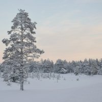 .. :: Александр Тихонов