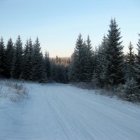 Зимняя дорога. :: Елизавета Успенская