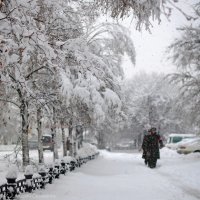 Патруль :: Андрей Селиванов