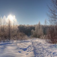 Тропинка за святой водой :: Alexander Asedach