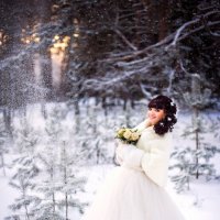 Зимняя невеста :: Андрей Грибов