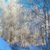 Бело-голубой пейзаж :: Татьяна Лютаева