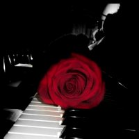 Роза и клавиши..(2) :: Emily Rose