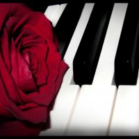 Роза и клавиши.. :: Emily Rose