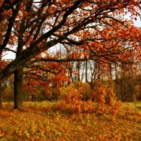 Осень в графском парке :: Евгений Жиляев
