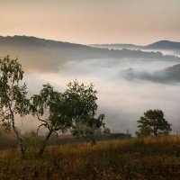 Тумананное утро. :: Олег Грачёв