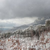 пейзаж :: Николай Ковтун