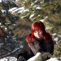 В лесу. :: Любовь Борисова