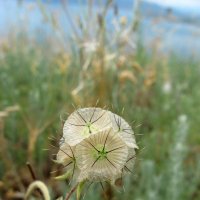 В крымских горах :: Марина Дегтярева