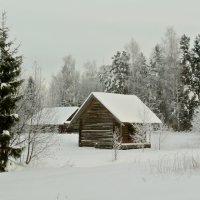 Василёво (Торжок) :: Евгений Мусияченко