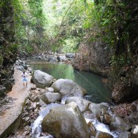 Путешествие в тропический лес :: валерий телепов
