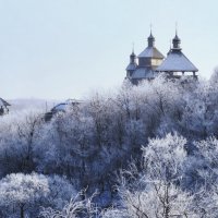 *** :: Дмитрий Онищенко