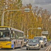 Дорога в осень :: Наталия Зыбайло