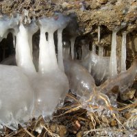 Ледяные сталактиты :: Dr. Olver