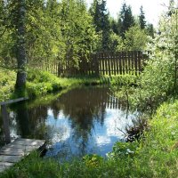 Деревенский пруд. :: Виктор Елисеев