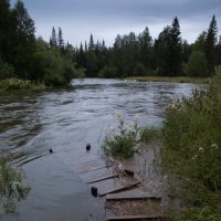 мостик :: Наталья Повстина