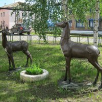 Сквер  с  оленями . Сосногорск , республика  Коми . :: Алексей Рыбаков