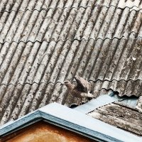 Learning to Fly :: Александр Творогов