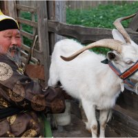 Вася и его коза :: Владимир Тюменцев
