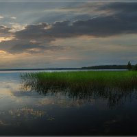 Угрюмое утро. :: Евгений 