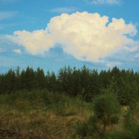 Облака, облака. :: Томчик Подольская
