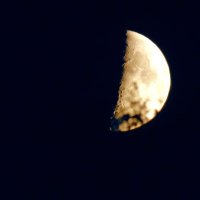 Луна ночью за листвой :: Анатолий Антонов