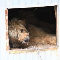 Глянул одним глазом! :: Сеня Полевской