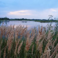 Пейзаж. :: Антонина Гугаева