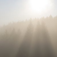 Гірський туман :: Дмитрий Гончаренко 