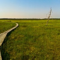 одиночество :: Николай Бабий