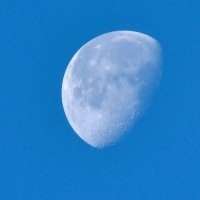 Убывающая  луна :: Геннадий Супрун