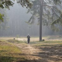 раннее утро, пора по делам... :: Галина Петрова