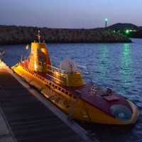Yellow submarine... :: Valentina Severinova