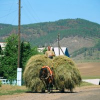 Cенокосная пора :: Наталья Покацкая