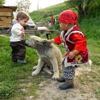 В ГОРАХ :: Виктор Осипчук