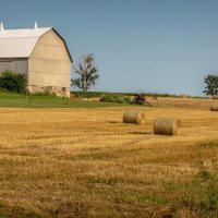 The Barn On A Field :: Andy Zav