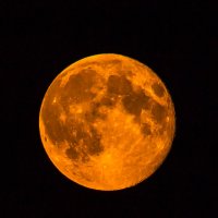 Луна на восходе :: Евгения Сихова