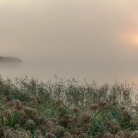 Утро на озере. :: Эдуард Пиолий